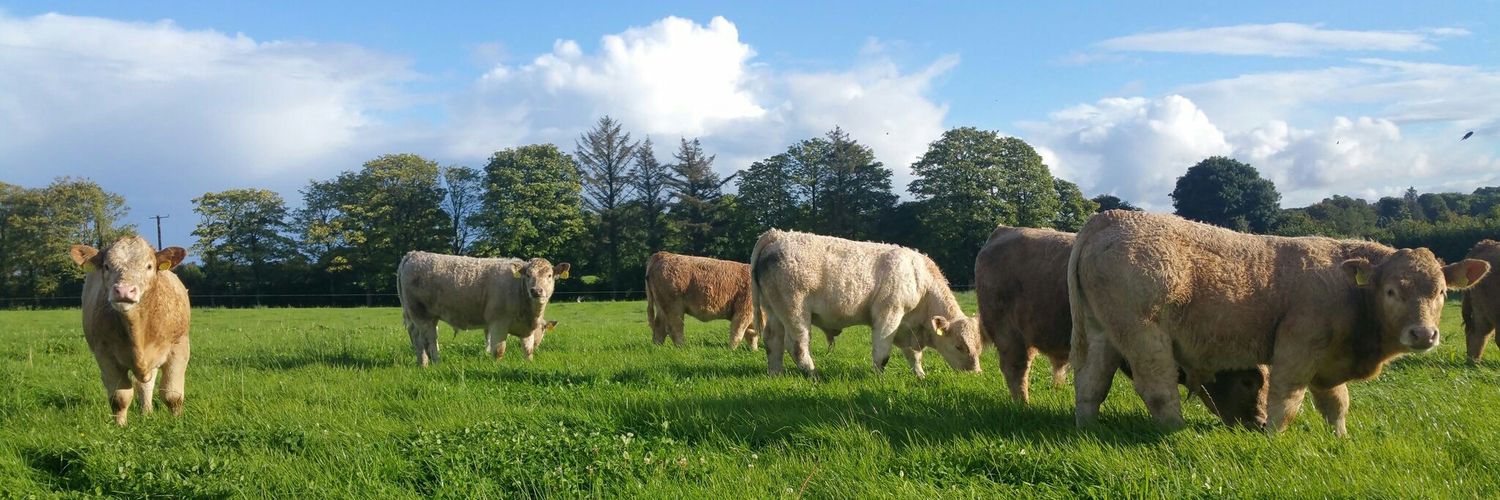 Raymond Dervan banner