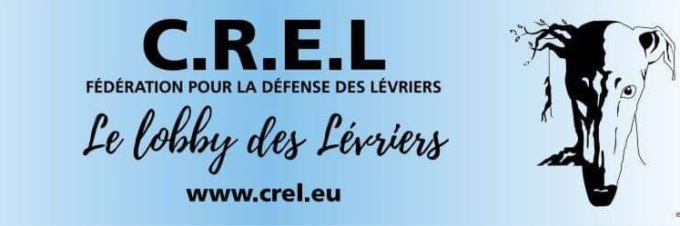 Fédération CREL (@FederationCREL) / Posts / X