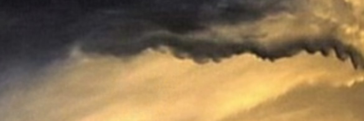 cupidssister_'s profile banner image