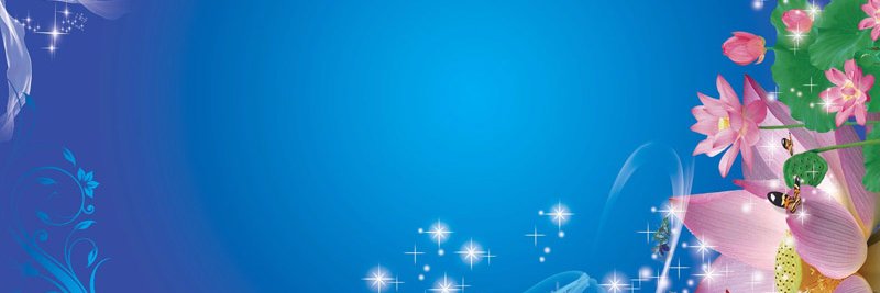 Bilqis2015's profile banner image