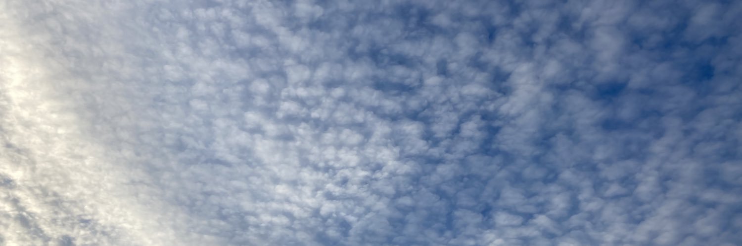 biofermin_min's profile banner image