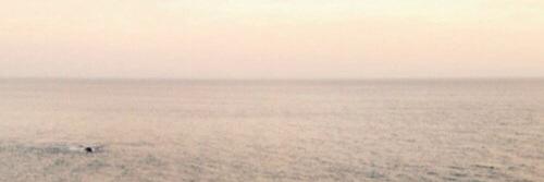 katmvsbgdr's profile banner image