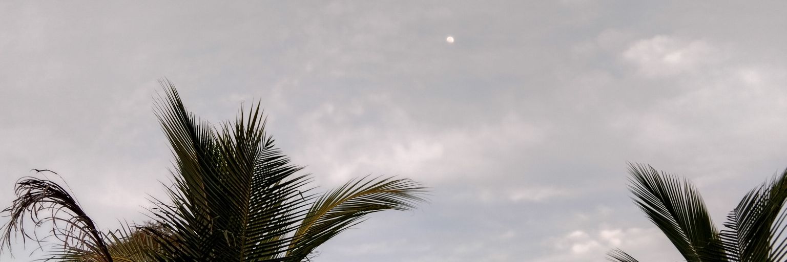 leidisantos10's profile banner image