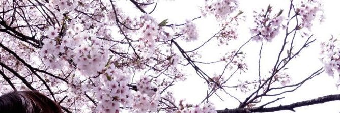 ar_nwtik's profile banner image