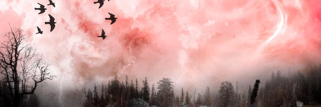 Doomia_'s profile banner image