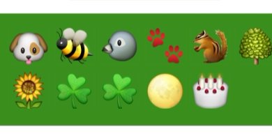 MUENZENBERGER banner