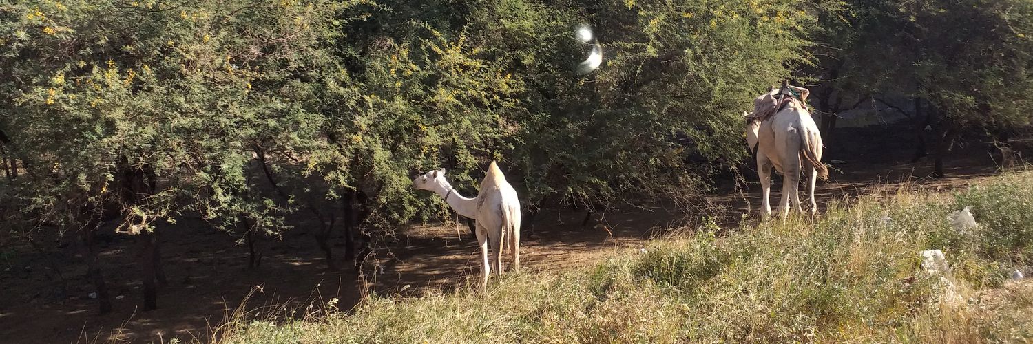 babiker07's profile banner image
