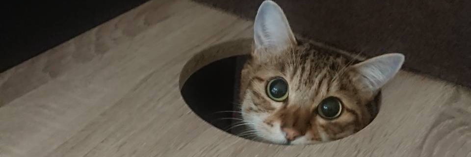 old school 中華ソバ Miya De La Soul banner