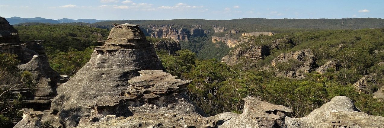 Lithgow Environment banner