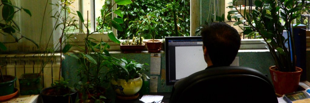 babaknaghash's profile banner image