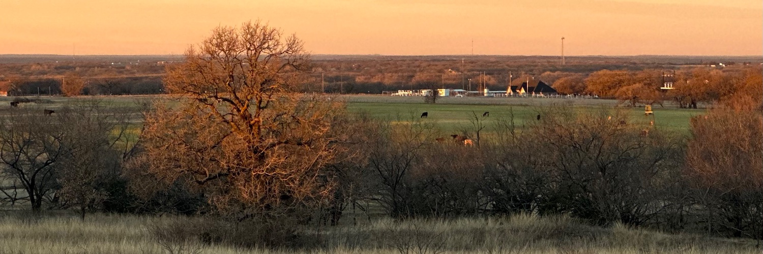 Anastacia 😷💜 banner