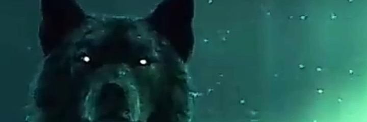 blackwolf9993's profile banner image