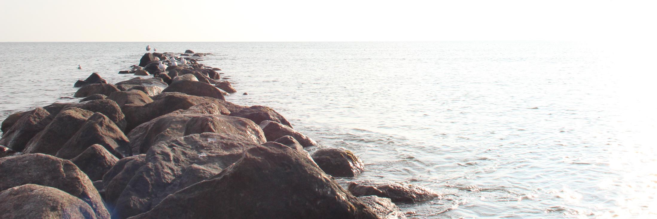 Scipbrother's profile banner image