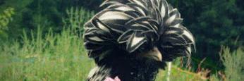 JTvrz's profile banner image