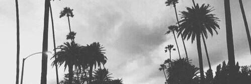 xenia_St's profile banner image