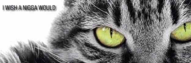 BombAssCocoNig's profile banner image