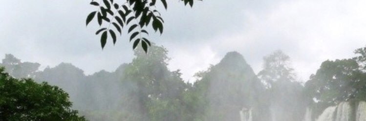 helmaroc's profile banner image