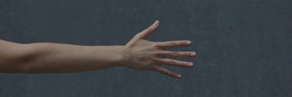 elissberry's profile banner image