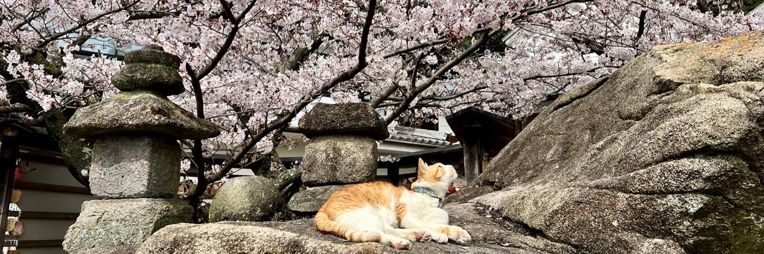 rendai_ji's profile banner image