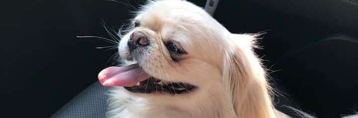 brunarobim's profile banner image