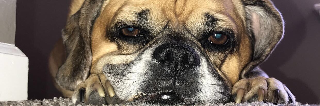 MHavkleman's profile banner image