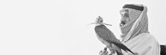 Alanoud21's profile banner image