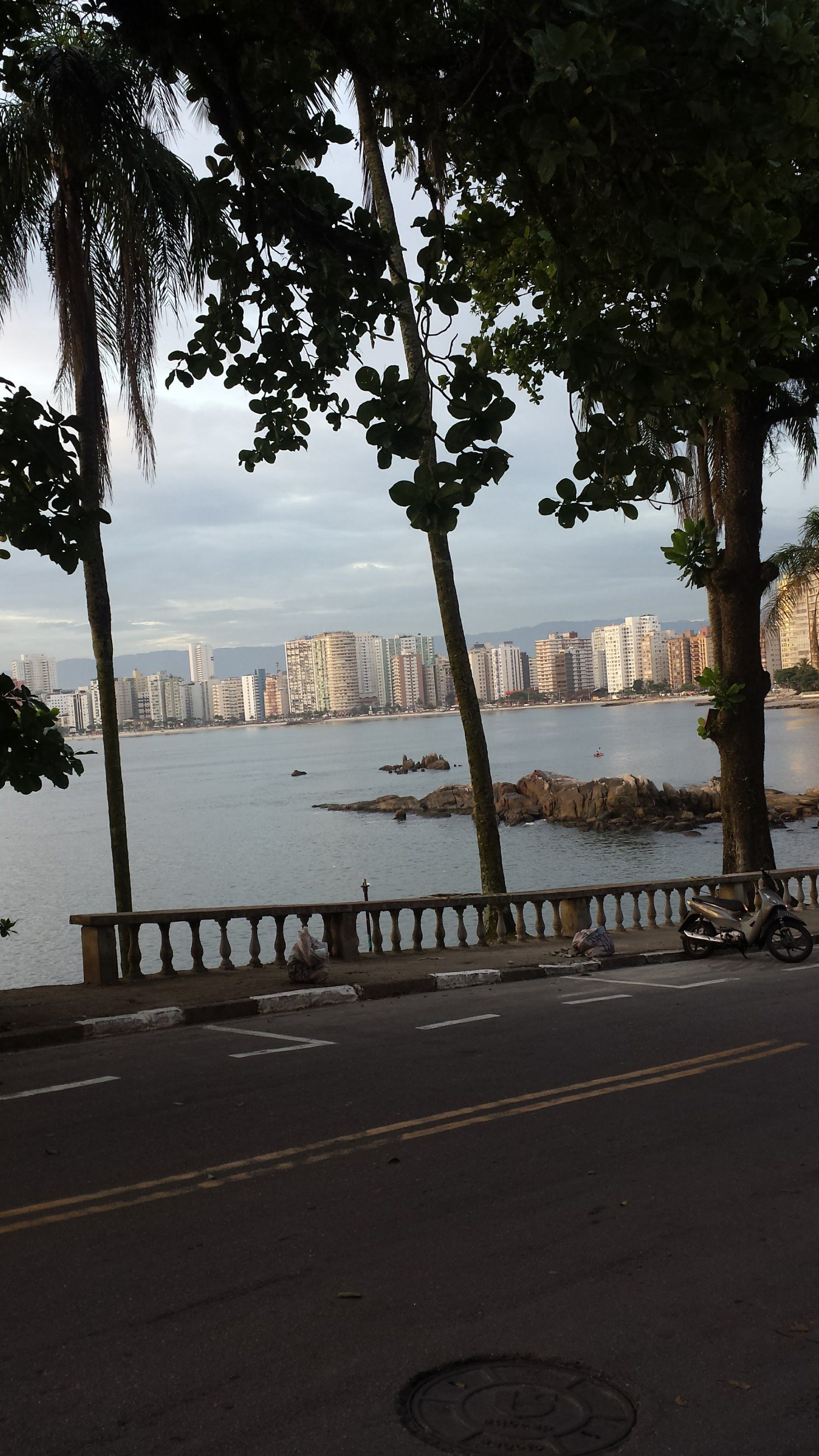 Elcio Alvares banner