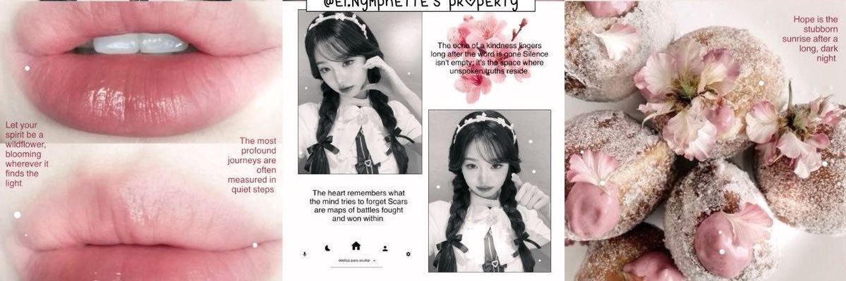 . ⟢ wa di bio ˘ banner