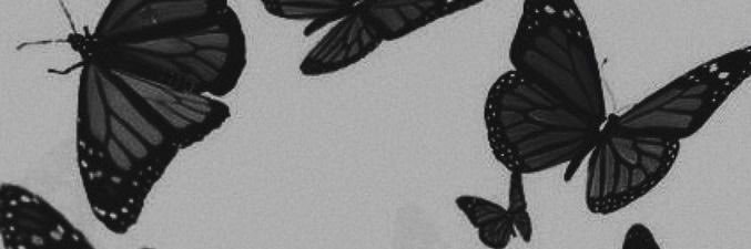 V | T banner