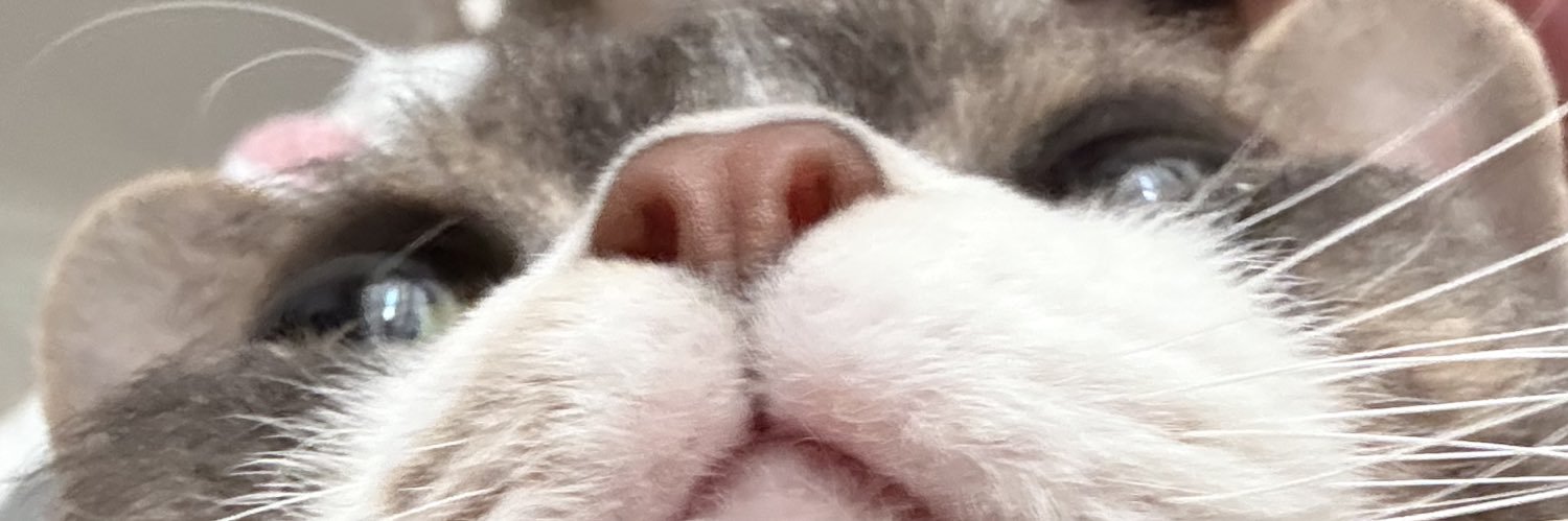 lynringsher's profile banner image