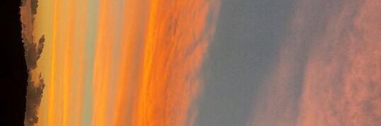 LarissavicS's profile banner image
