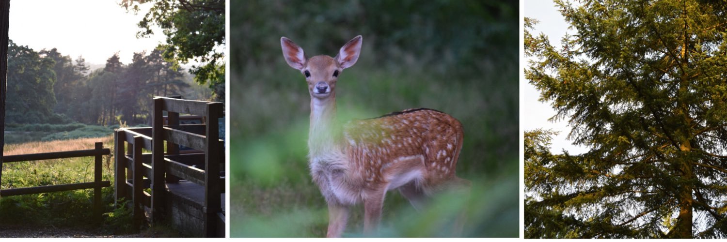 MarkAngelv2's profile banner image
