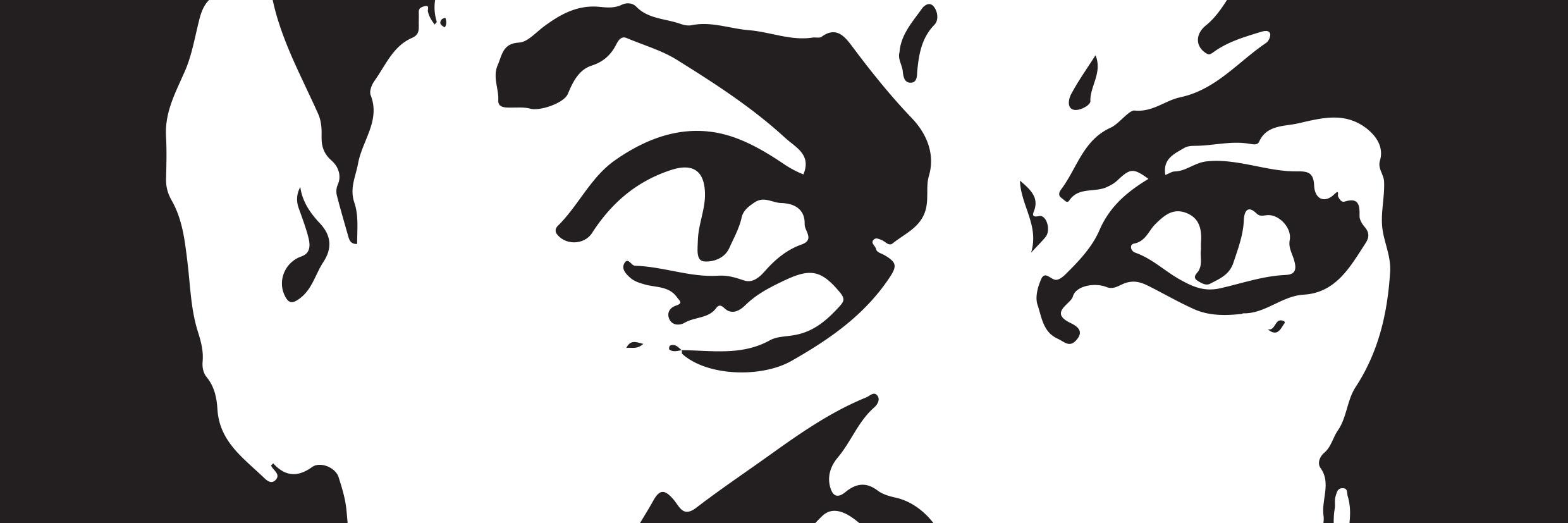 vederkast's profile banner image