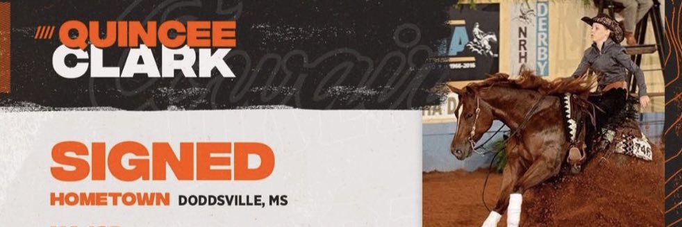 quinceeclark's profile banner image