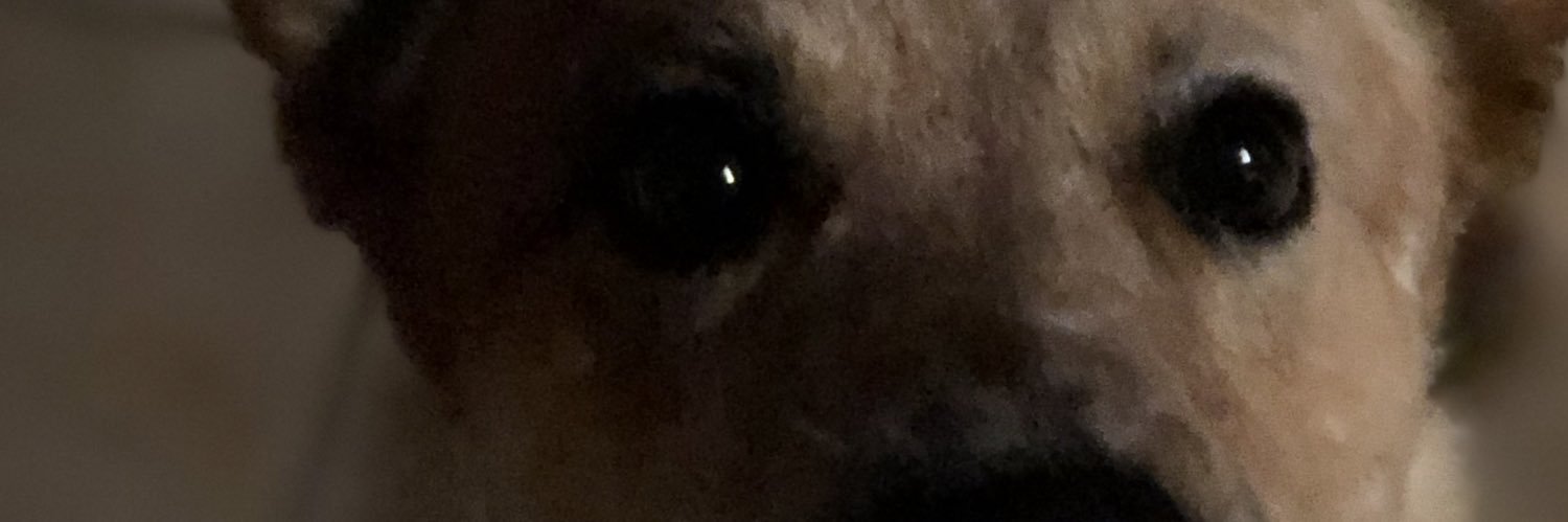 Raffiiddy's profile banner image