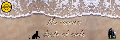 FlaviaMdq08's profile banner image