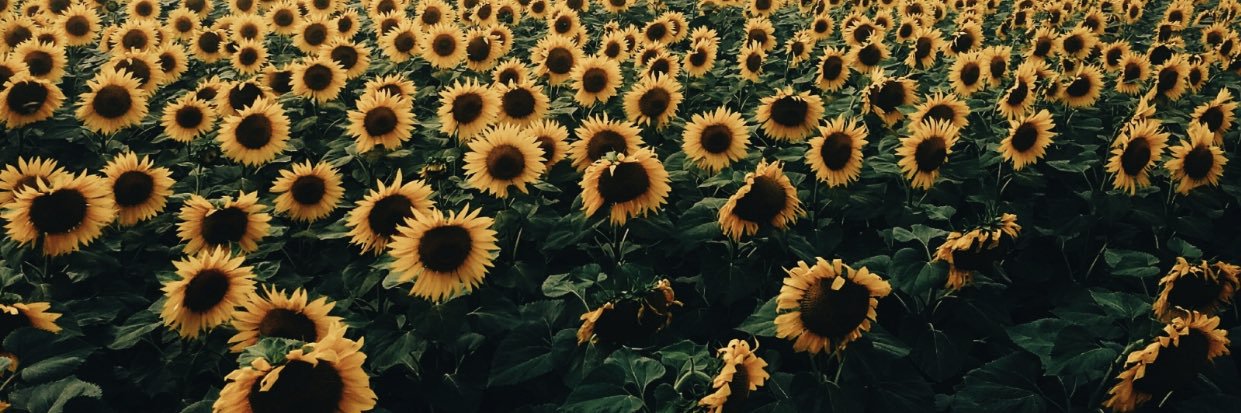 NataleaC_'s profile banner image