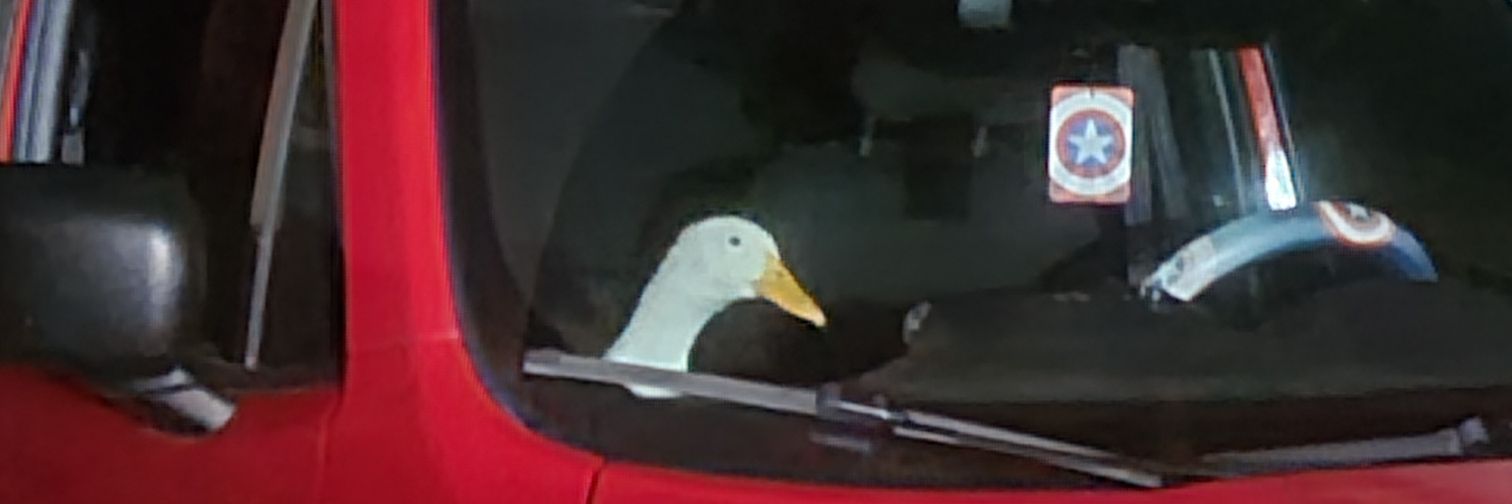 muddieone's profile banner image
