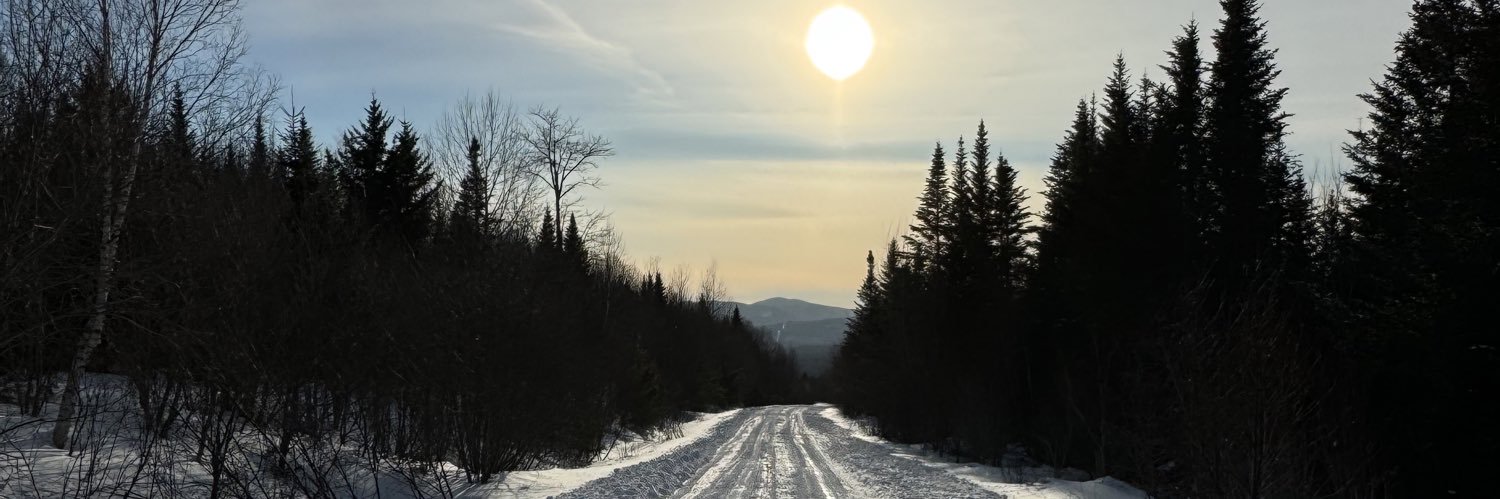 Coree Woltering banner