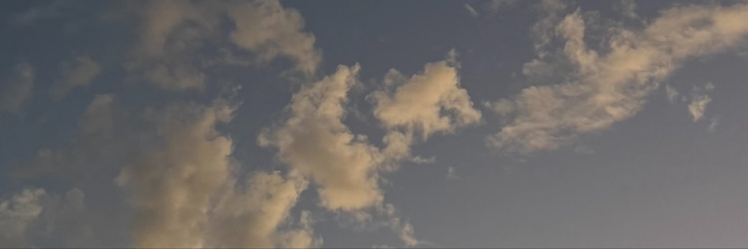 mummafunga's profile banner image