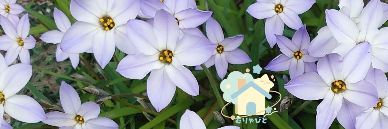 toumi_ioth's profile banner image