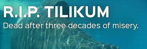 SeaWorldTT's profile banner image