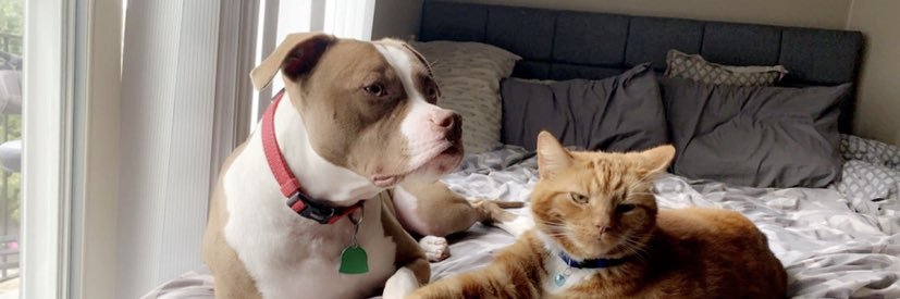 Michaelaa68's profile banner image
