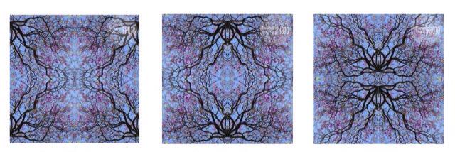 mandalas mexico banner