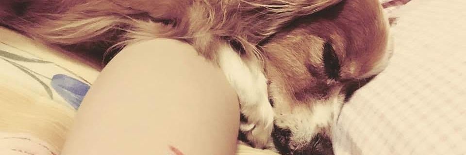 repktar's profile banner image