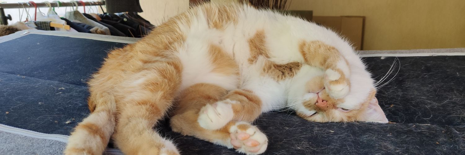 Zbigi_X🇺🇦🇵🇸🇦🇲🇾🇪🇹🇼🇲🇲🇽🇰🏳️‍🌈 banner