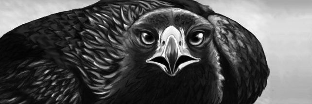 royer_08's profile banner image