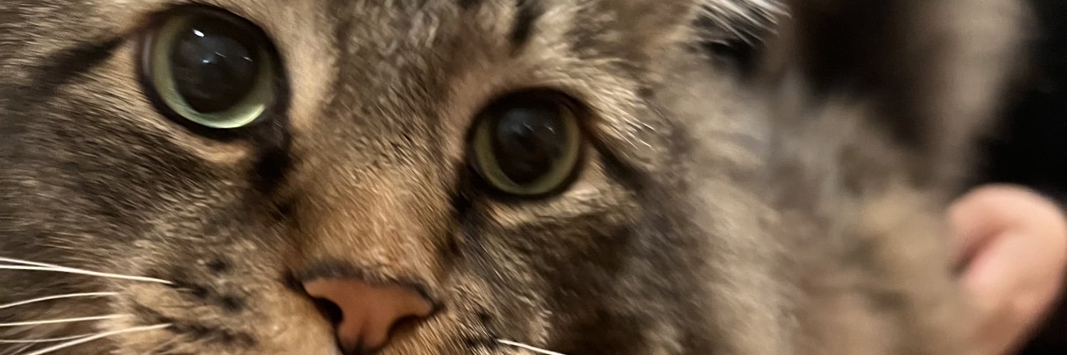 angpozos's profile banner image