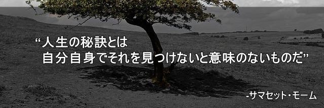 monster90022's profile banner image