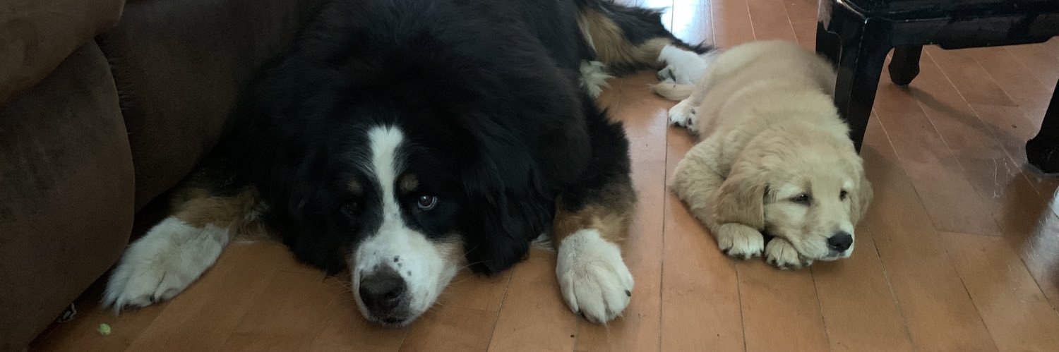 Charles Goulet banner